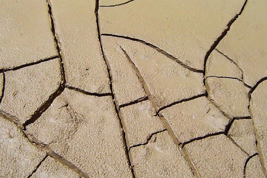 mud cracks big bend national park vanherdehaage wildearth guardians