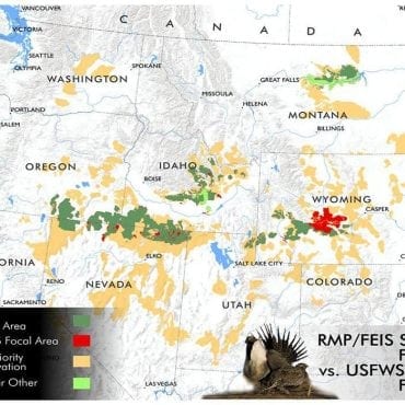 sage grouse focal areas 2015 wildearth guardians