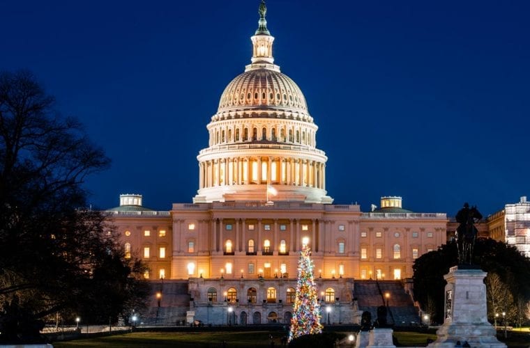 US Capitol Christmas Tree WildEarth Guardians John Brighenti