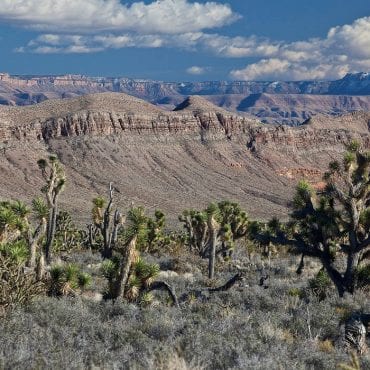 A Final Challenge to the Trump Administration’s Public Lands Fire Sale