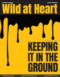Wild at Heart #40 cover
