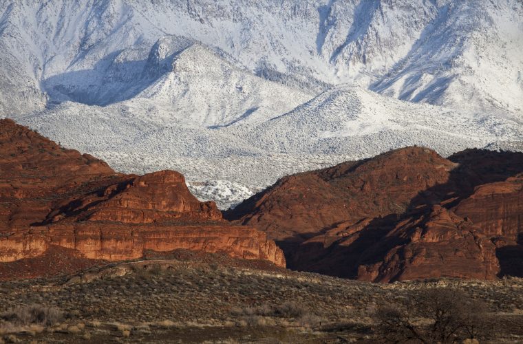Help stop a new highway through Red Cliffs National Conservation Area