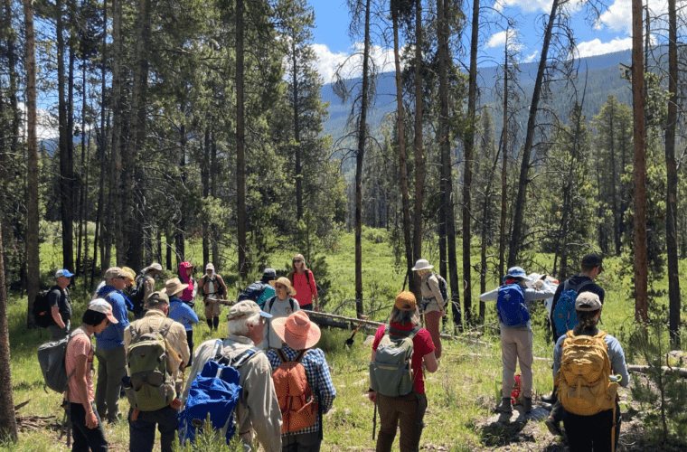 Building our knowledge of fen ecology in the Homestake Valley, Colorado through community science